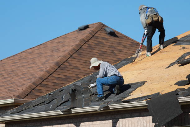 Best Roof Coating and Sealing  in Cotter, AR