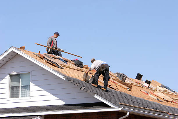 Best Metal Roofing Installation  in Cotter, AR